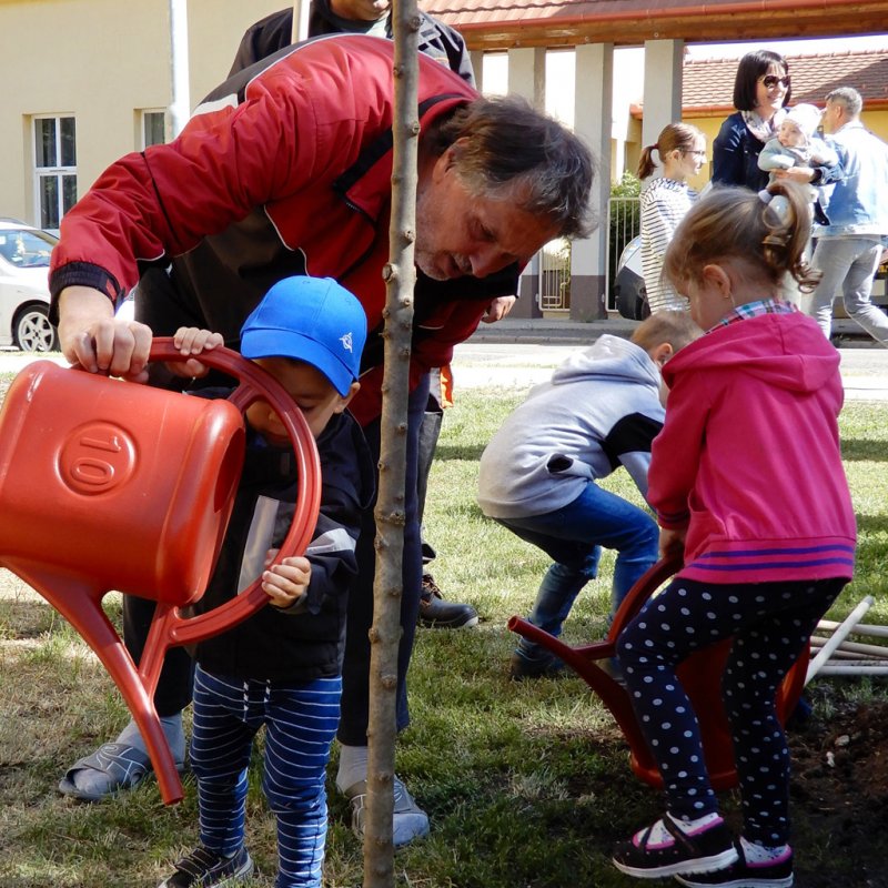 Életfa ültetés a város napján 34